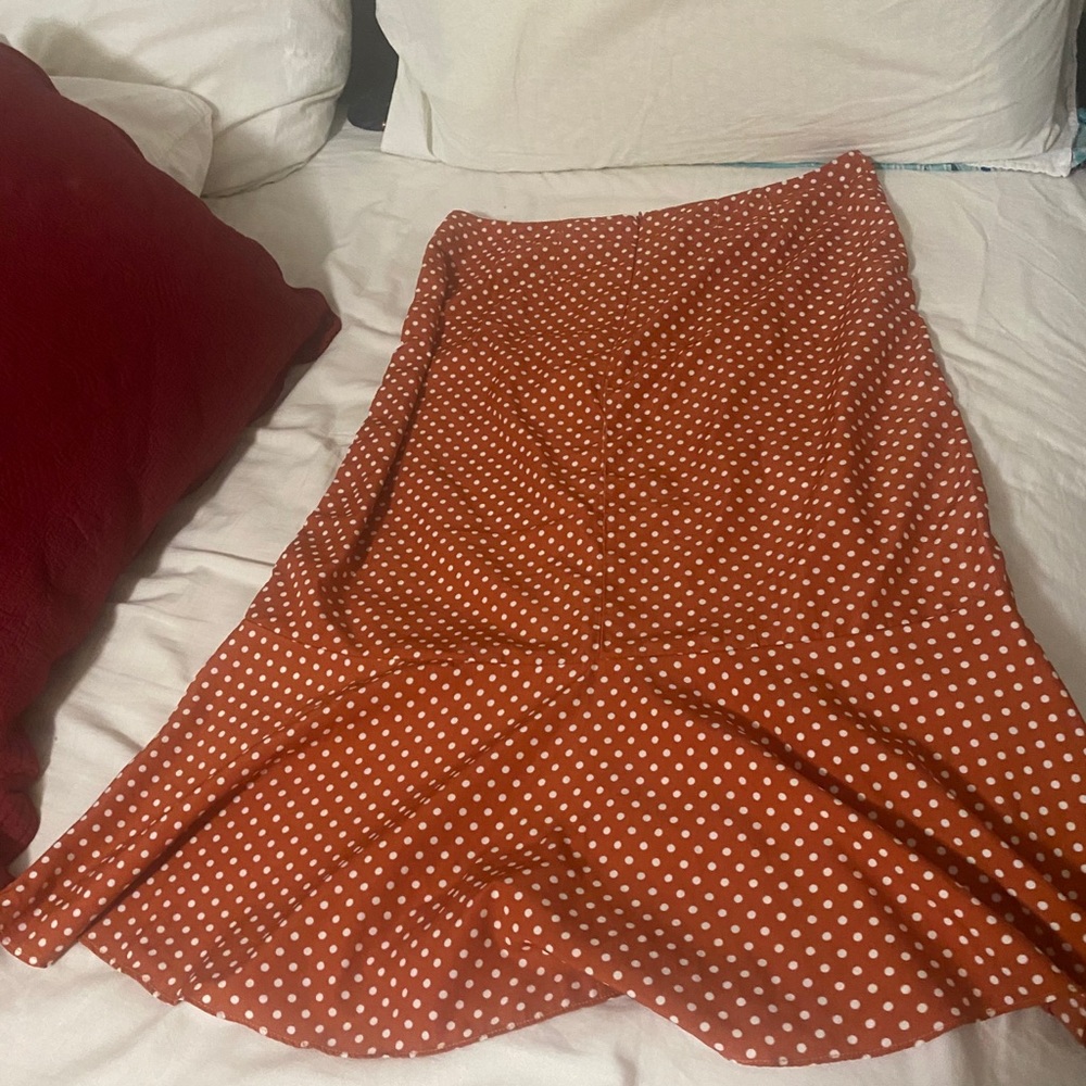 Francesca’s polka dot skirt - Picture 4 of 4